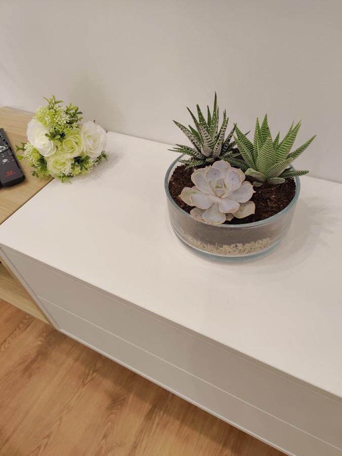A Window To Porto - Premium Apartment Porto Downtown المظهر الخارجي الصورة